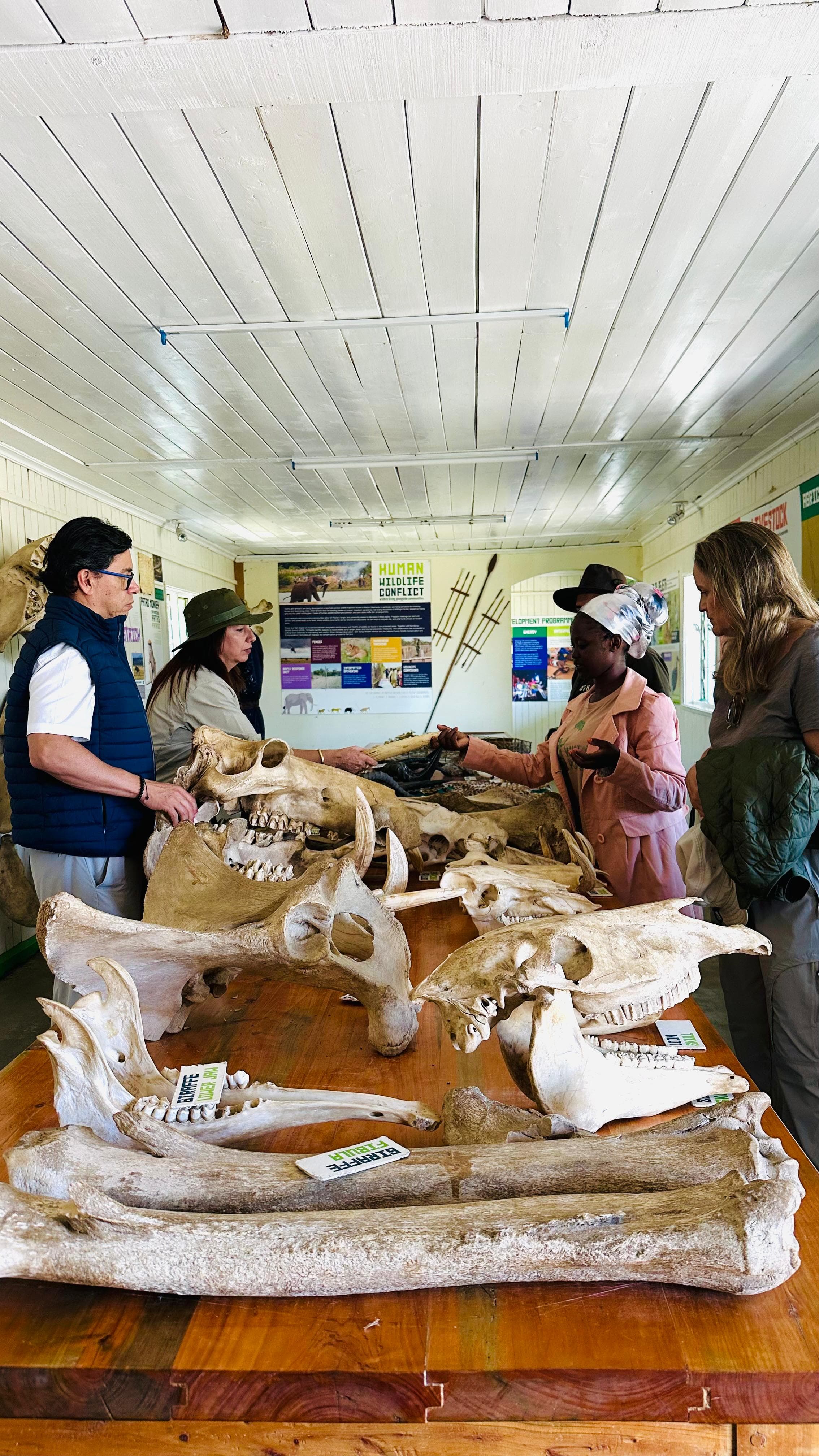 Private Guided Tours