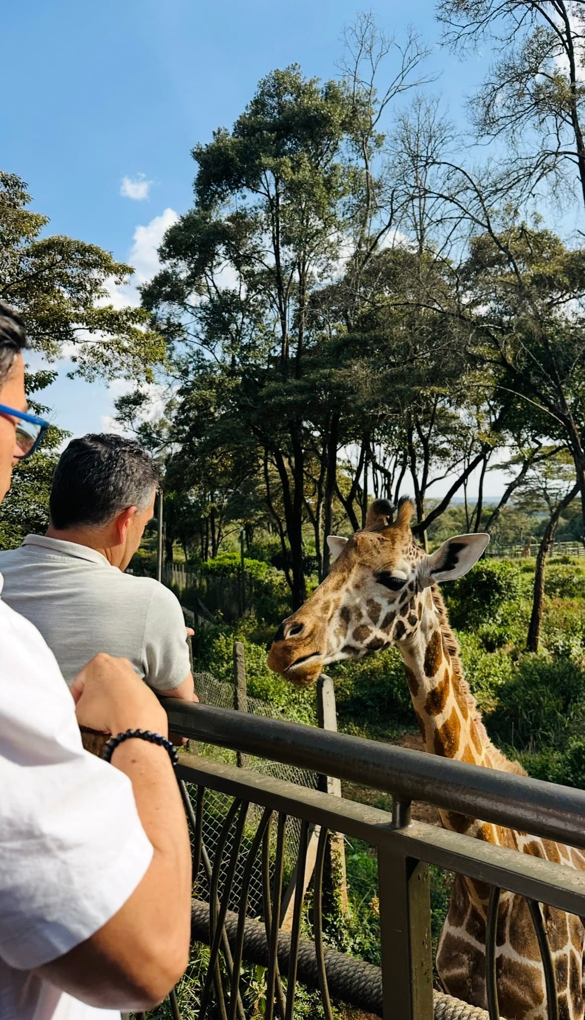 A Day in the Wild: The Ultimate Nairobi Wildlife Day Trip (Elephants, Lions & a Bush Lunch)